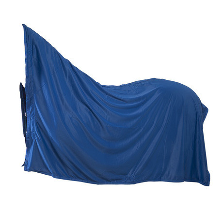 Shiny cooler loimi ponille