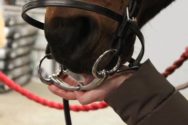 Trotting Satinox nivelkuolain