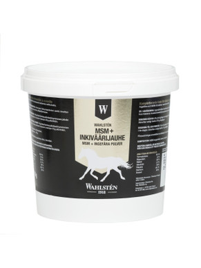 W-MSM jauhe+ inkivääri jauhe 700 g