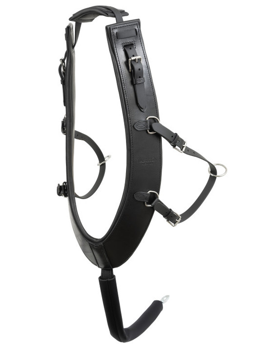 Länkirintaremmi II Anatomic