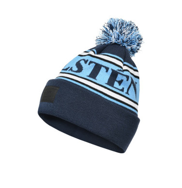 Wahlsten logo tupsupipo