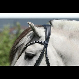 SD Design Onyx suitset R-1332