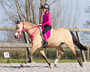 Kaulanaru Fuchsia QHP