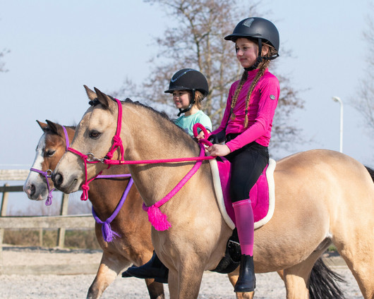 Naruriimu ohjilla fuchsia QHP