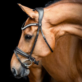 SD Design Belissimo ruskeat suitset