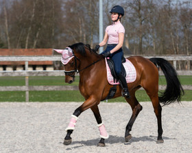 Eden navy ratsastuslegginssit full grip QHP