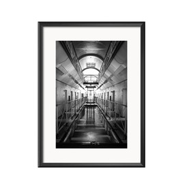 Kakolan selliosasto- juliste (Iso)