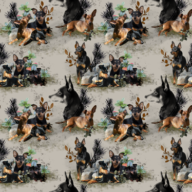 Kääpiöpinseri 60cm