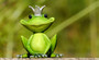 Test product 399