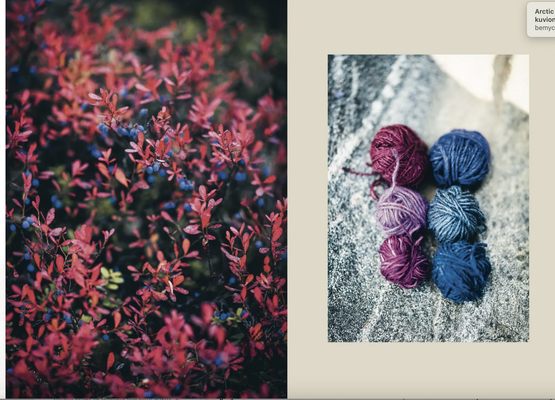 ARCTIC KNITTING - LUONNON LUMOA JA KUVIONEULONTAA, ANNIKA KONTTANIEMI