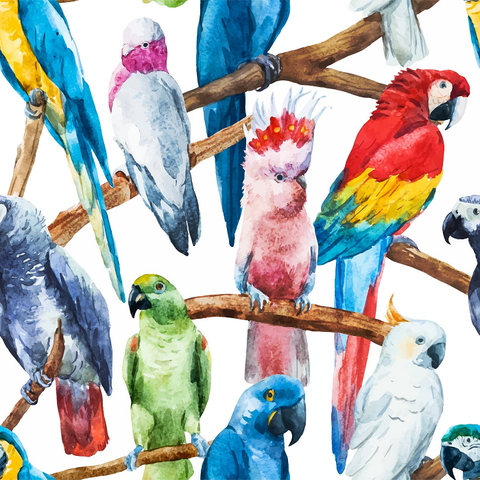 Decoupage-arkkisetti - Birds - Belles and Whistles