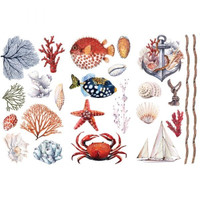 Siirtokuva 30x45 cm - Amazing Sea Life Re-Design with Prima Decor Transfers