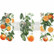 Siirtokuva 30x45 cm - Prima Citrus Redesign With Prima Decor Transfers