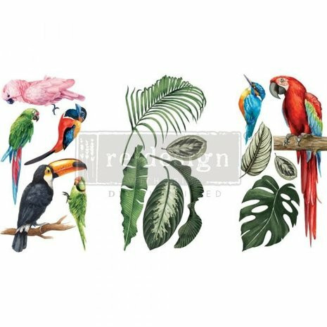 Siirtokuva 30x45 cm - Tropical Birds Redesign With Prima Decor Transfers