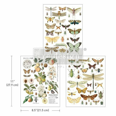 Siirtokuva 27x60 cm - Re-Design with Prima Middy Transfers  Bug Whisperer