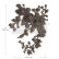 Huonekalukoriste 17x24 cm - Re-Design Decor Poly Velvet Cascade Right
