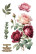 Siirtokuva 30x60 cm - Papers For You Decor Transfers Rosé 3 pcs