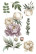 Siirtokuva 30x60 cm - Papers For You Decor Transfers Peonies 3 pcs