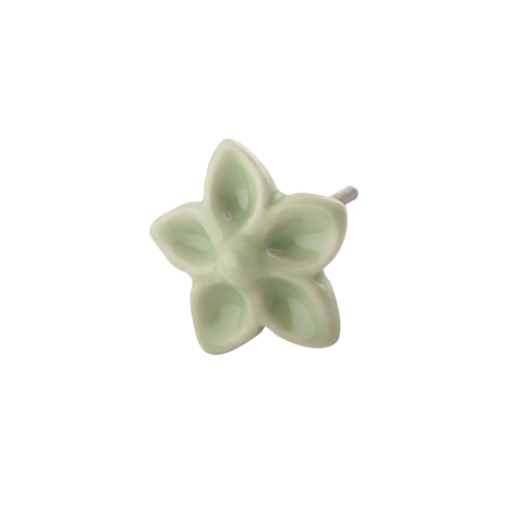 Nuppivedin, vaaleanvihreä kukka