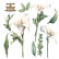 Siirtokuva 30x60 cm - Papers For You Decor Transfers Calla Lily 2 pcs