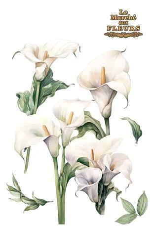Siirtokuva 90x240 cm - Papers For You Decor Transfers Calla Lily 4 pcs