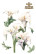 Siirtokuva 90x240 cm - Papers For You Decor Transfers Calla Lily 4 pcs