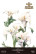 Siirtokuva 90x240 cm - Papers For You Decor Transfers Calla Lily 4 pcs