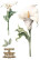 Siirtokuva 30x60 cm - Papers For You Decor Transfers Calla Lily 3 pcs