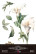 Siirtokuva 30x60 cm - Papers For You Decor Transfers Calla Lily 3 pcs
