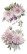 Siirtokuva 30x60 cm - Papers For You Decor Transfers Dahlias 4 pcs