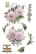 Siirtokuva 30x60 cm - Papers For You Decor Transfers Dahlias 3 pcs