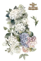 Siirtokuva 90x240 cm - Papers For You Decor Transfers Hydrangeas 4 pcs