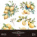 Siirtokuva 30x60 cm - Papers For You Decor Transfers Lemon 2 pcs