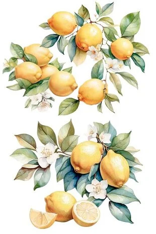 Siirtokuva 90x240 cm - Papers For You Decor Transfers Lemon 4 pcs