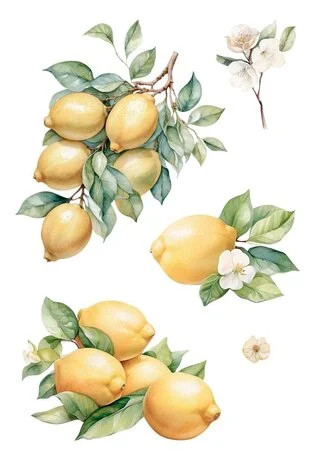 Siirtokuva 30x60 cm - Papers For You Decor Transfers Lemon 3 pcs