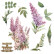 Siirtokuva 30x60 cm - Papers For You Decor Transfers Lilacs 2 pcs