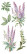Siirtokuva 30x60 cm - Papers For You Decor Transfers Lilacs 4 pcs