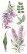 Siirtokuva 30x60 cm - Papers For You Decor Transfers Lilacs 4 pcs