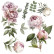 Siirtokuva 30x60 cm - Papers For You Decor Transfers Peonies 2 pcs