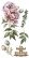 Siirtokuva 30x60 cm - Papers For You Decor Transfers Peonies 4 pcs