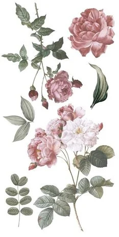 Siirtokuva 30x60 cm - Papers For You Decor Transfers Roses 4 pcs