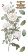 Siirtokuva 30x60 cm - Papers For You Decor Transfers Roses 4 pcs