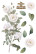 Siirtokuva 30x60 cm - Papers For You Decor Transfers Roses 3 pcs