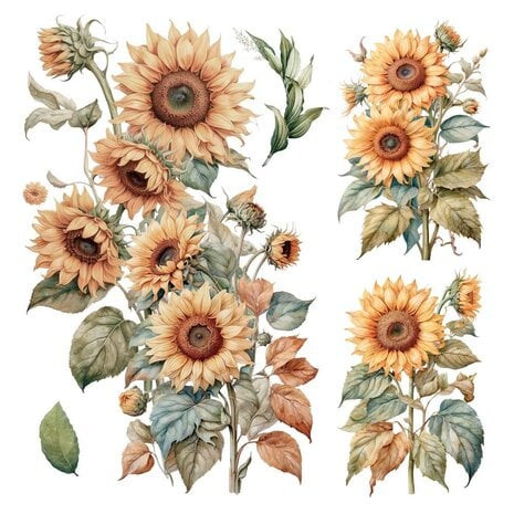 Siirtokuva 30x60 cm - Papers For You Decor Transfers Sunflowers 2 pcs