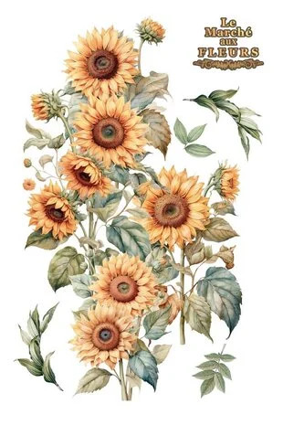Siirtokuva 90x240 cm - Papers For You Decor Transfers Sunflowers 4 pcs