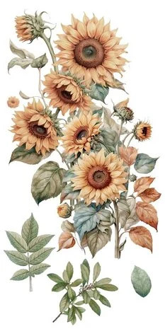 Siirtokuva 30x60 cm - Papers For You Decor Transfers Sunflowers 4 pcs