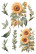 Siirtokuva 30x60 cm - Papers For You Decor Transfers Sunflowers 3 pcs