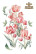 Siirtokuva 90x240 cm - Papers For You Decor Transfers Tulips 4 pcs