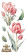 Siirtokuva 30x60 cm - Papers For You Decor Transfers Tulips 4 pcs