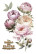 Siirtokuva 30x60 cm - Papers For You Decor Transfers Peonies 3 pcs